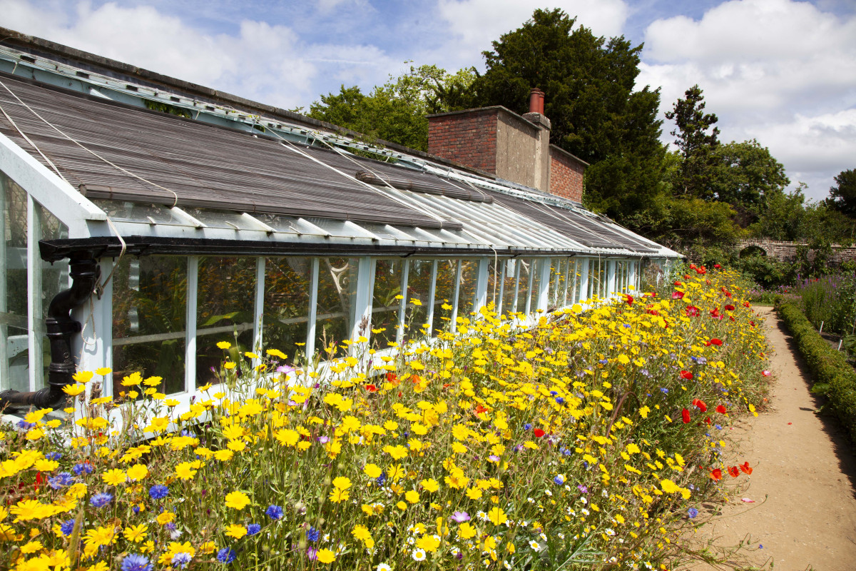 The Glasshouse in the gardens at Down House, erected in the 1860s.